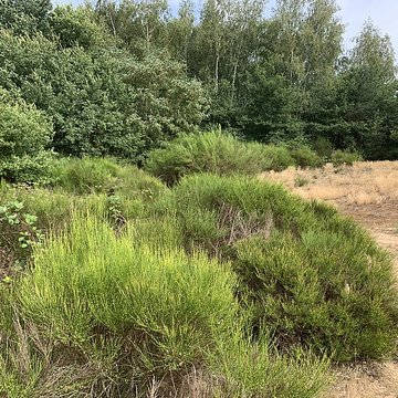 Gisement préhistorique de Sermoyer