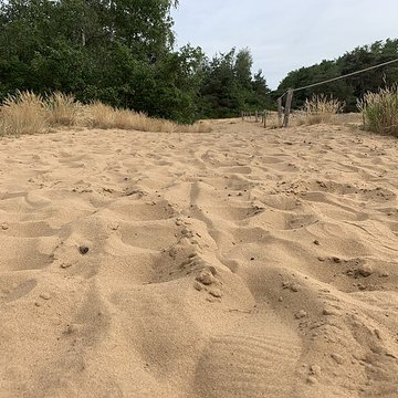 Gisement préhistorique de Sermoyer