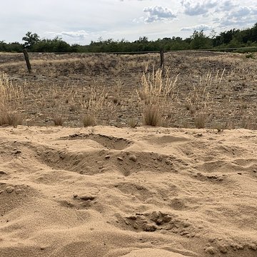 Gisement préhistorique de Sermoyer