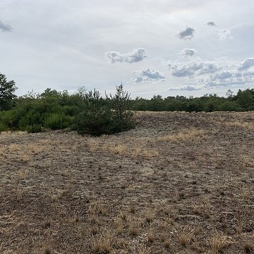 Gisement préhistorique de Sermoyer
