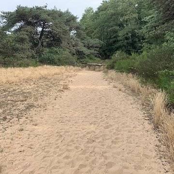 Gisement préhistorique de Sermoyer