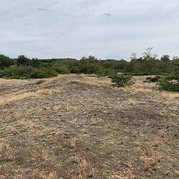 Gisement préhistorique de Sermoyer