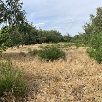 Gisement préhistorique de Sermoyer