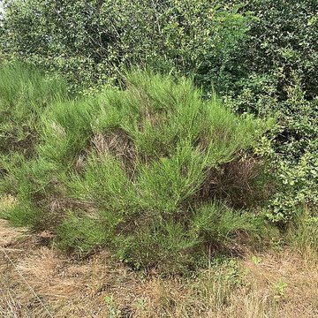 Gisement préhistorique de Sermoyer