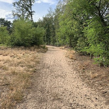 Gisement préhistorique de Sermoyer