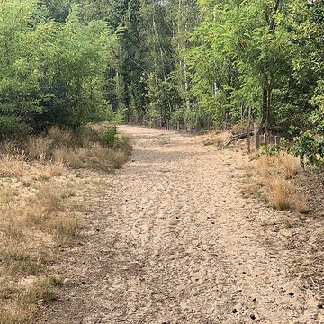 Gisement préhistorique de Sermoyer