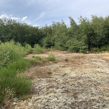 Gisement préhistorique de Sermoyer