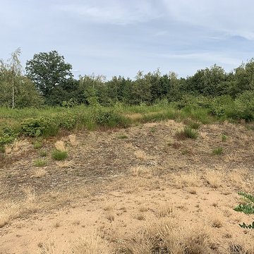 Gisement préhistorique de Sermoyer