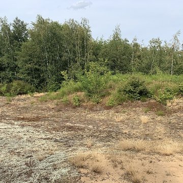 Gisement préhistorique de Sermoyer