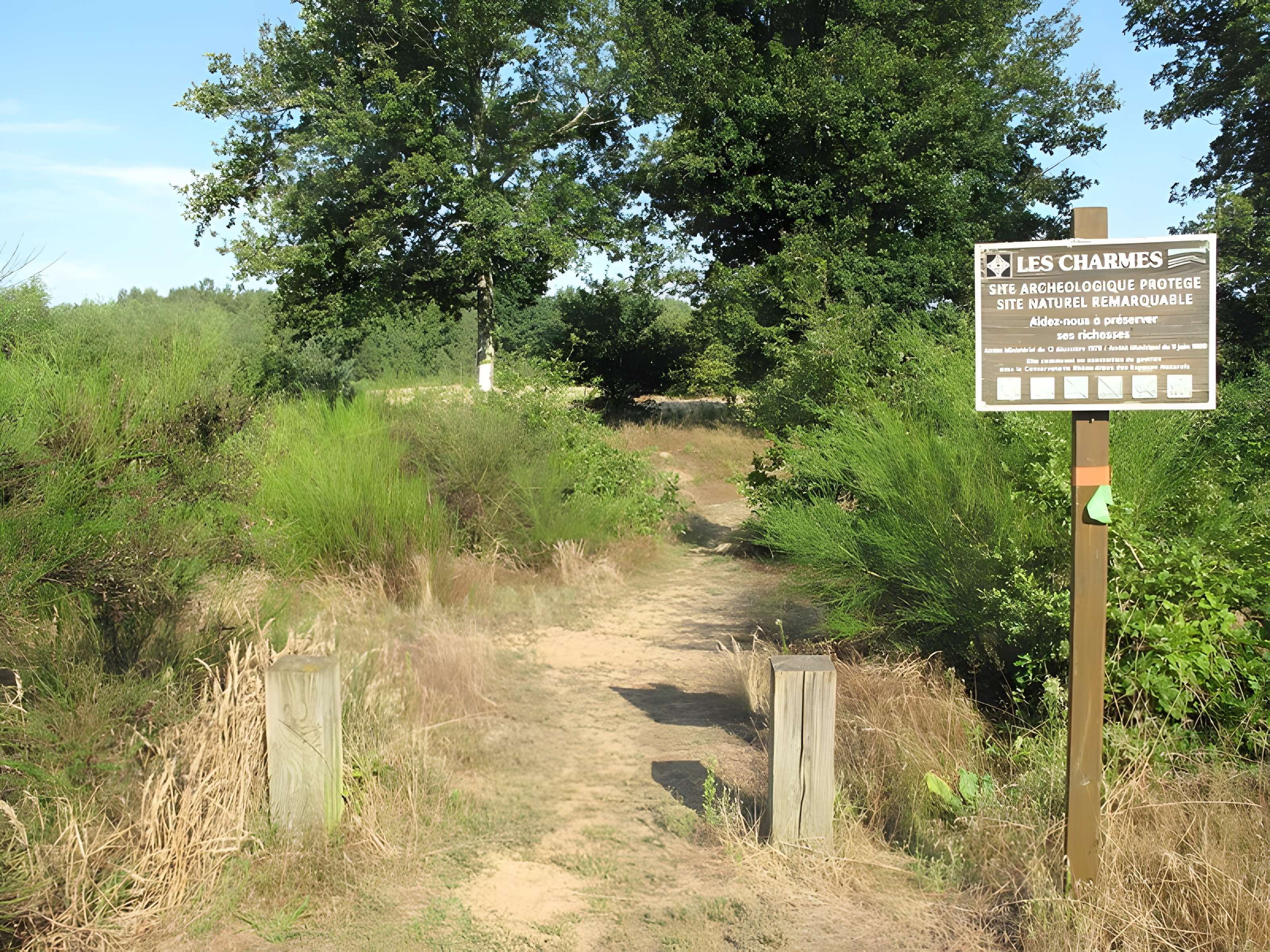 Gisement préhistorique de Sermoyer 
