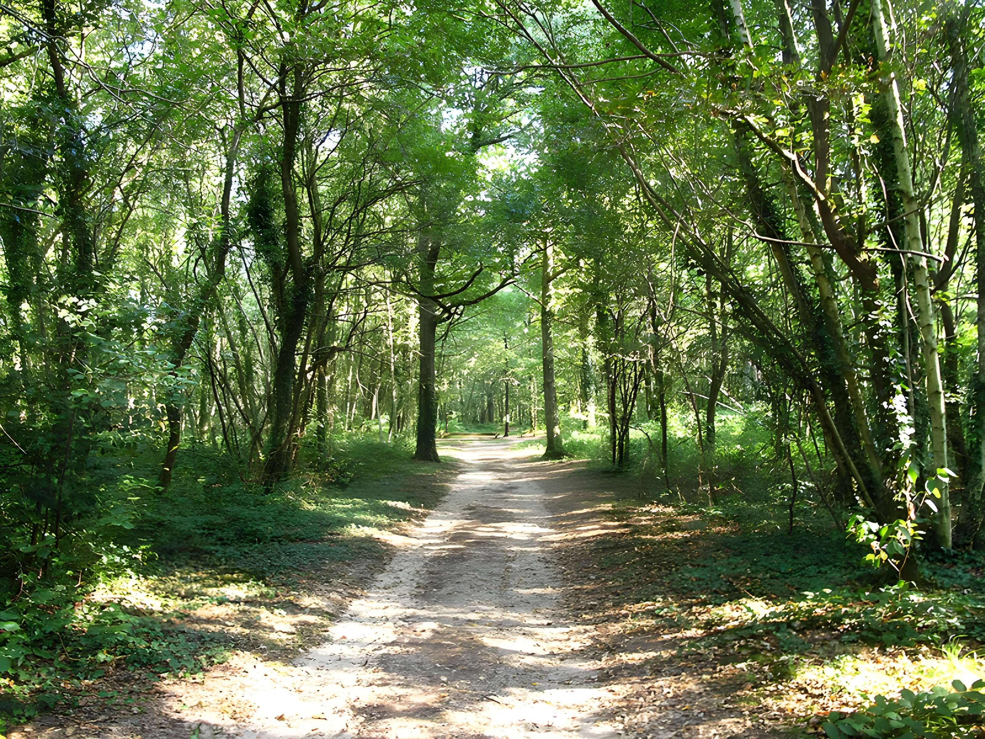 Gisement préhistorique de Sermoyer