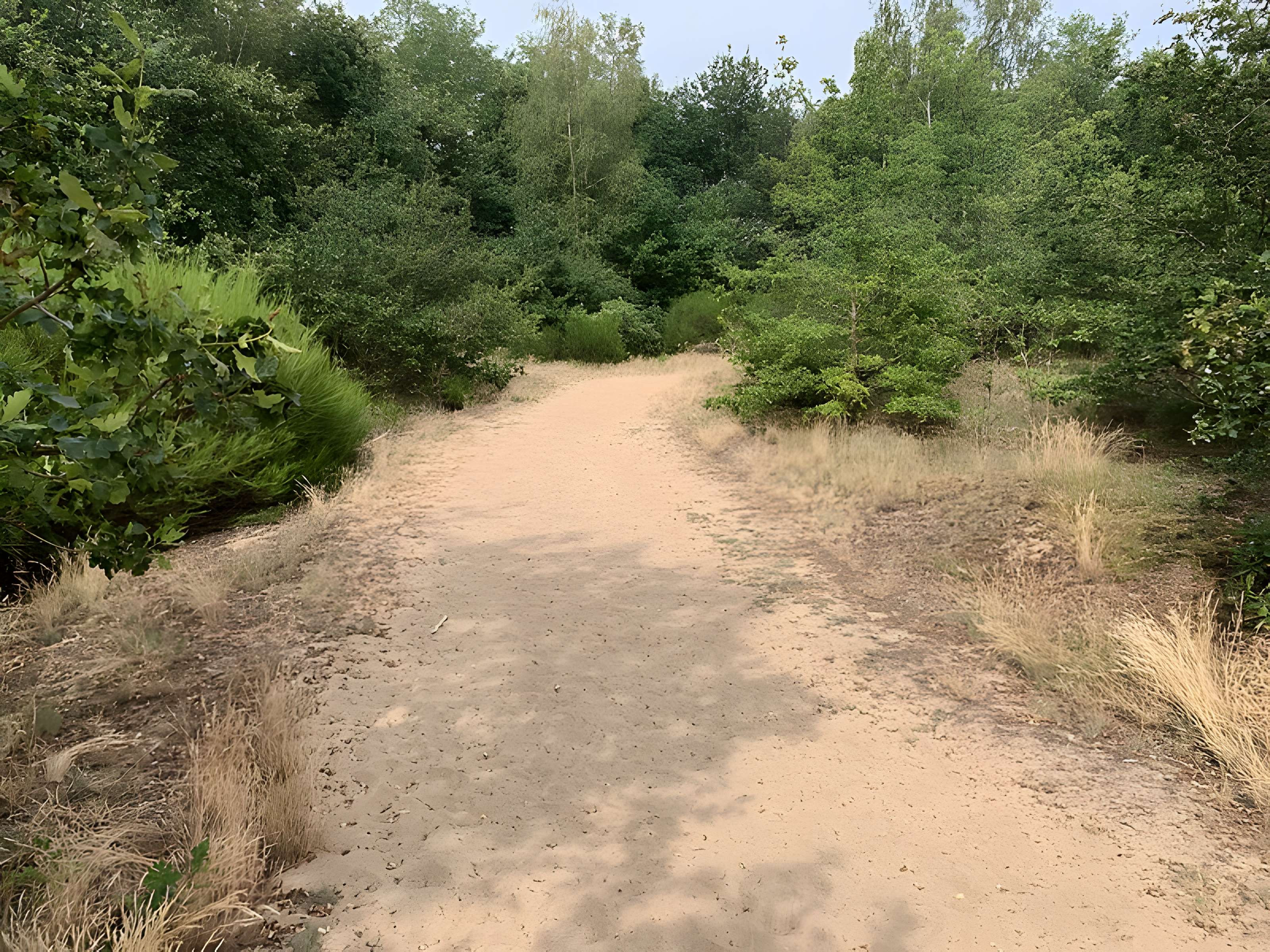 Gisement préhistorique de Sermoyer