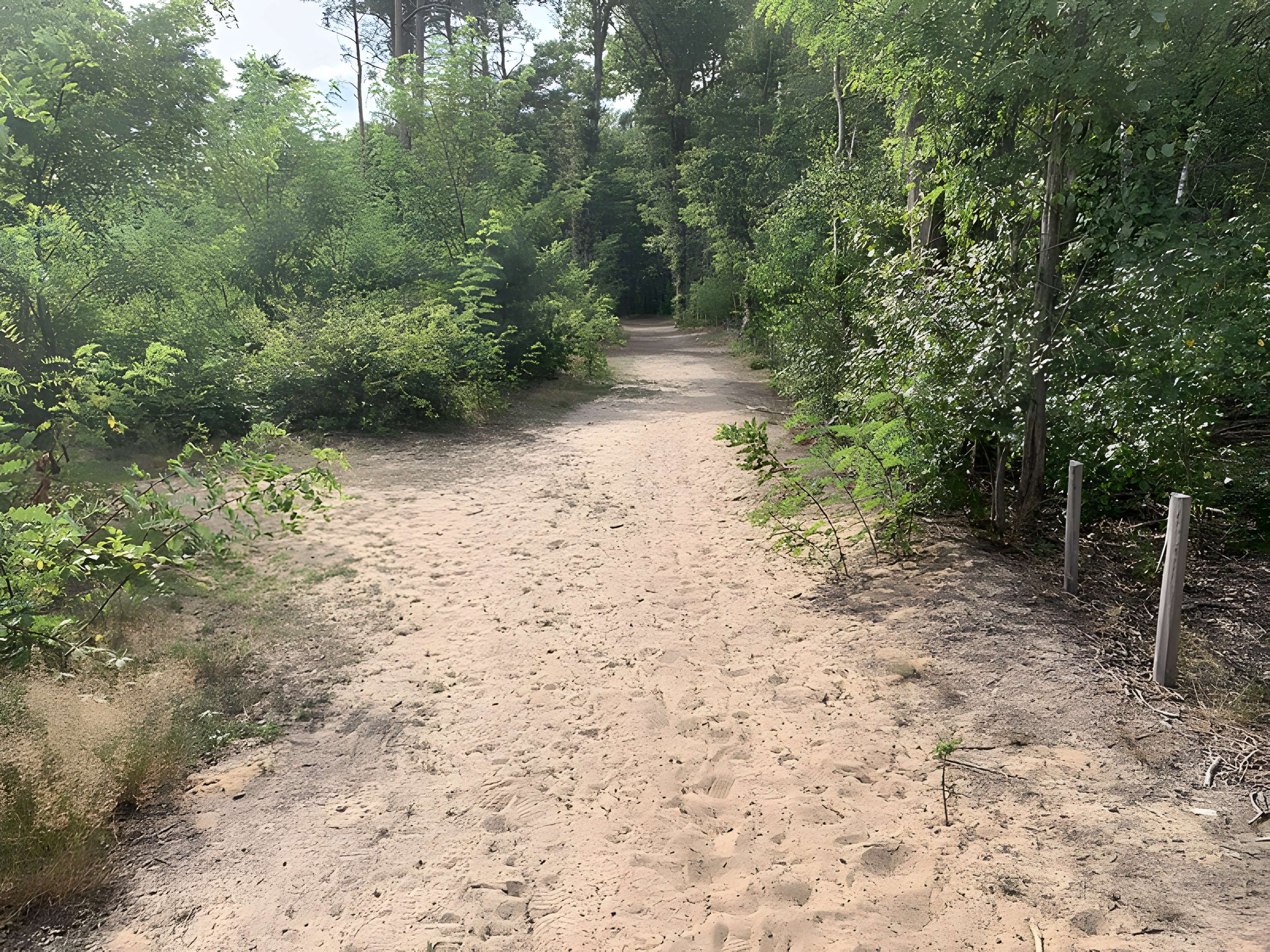Gisement préhistorique de Sermoyer