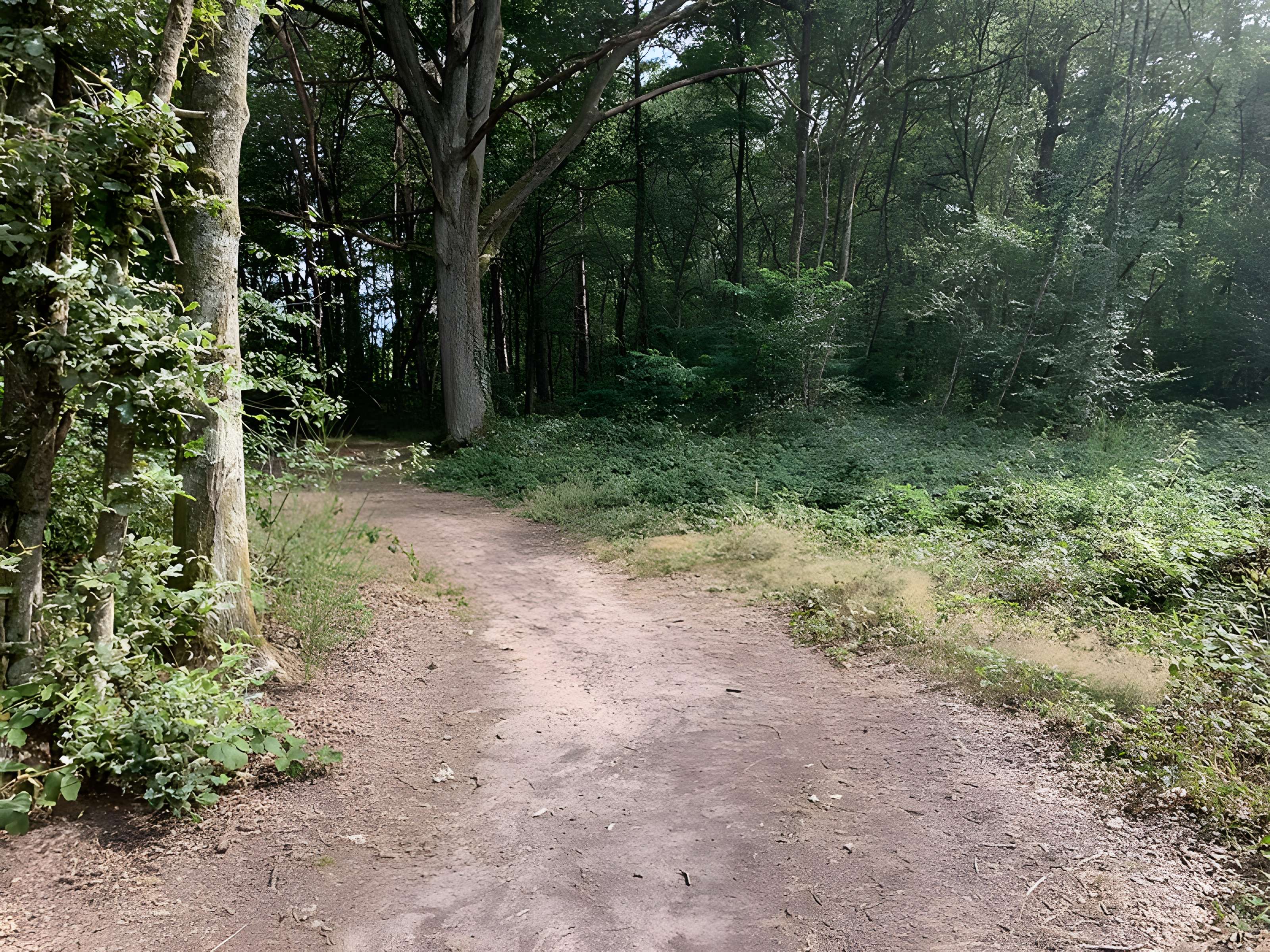 Gisement préhistorique de Sermoyer