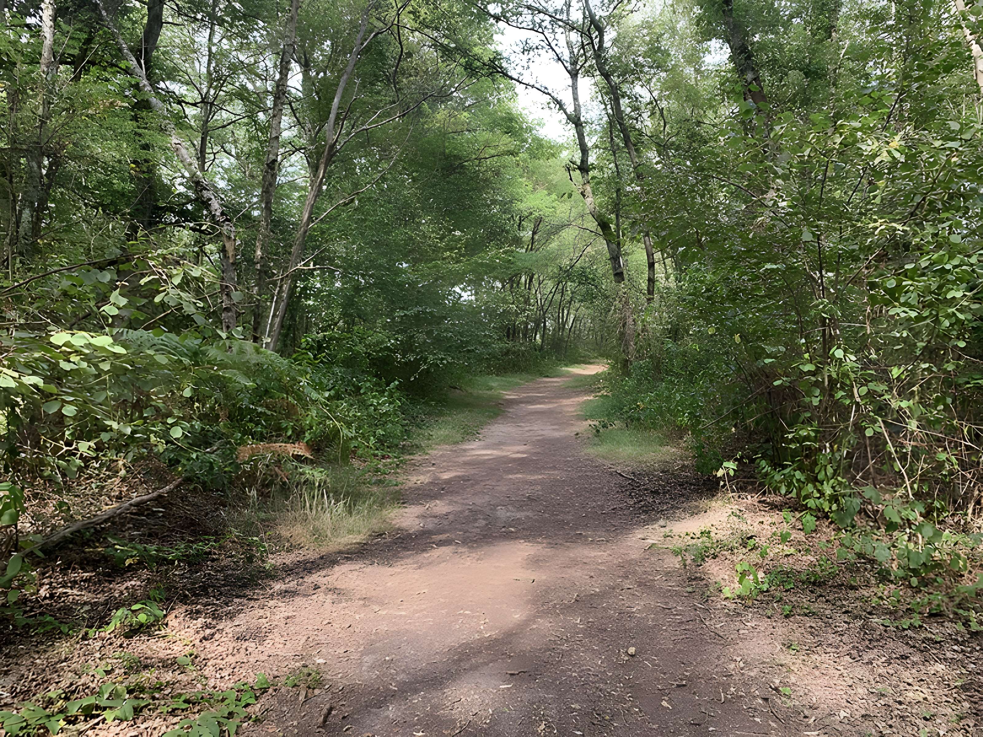 Gisement préhistorique de Sermoyer