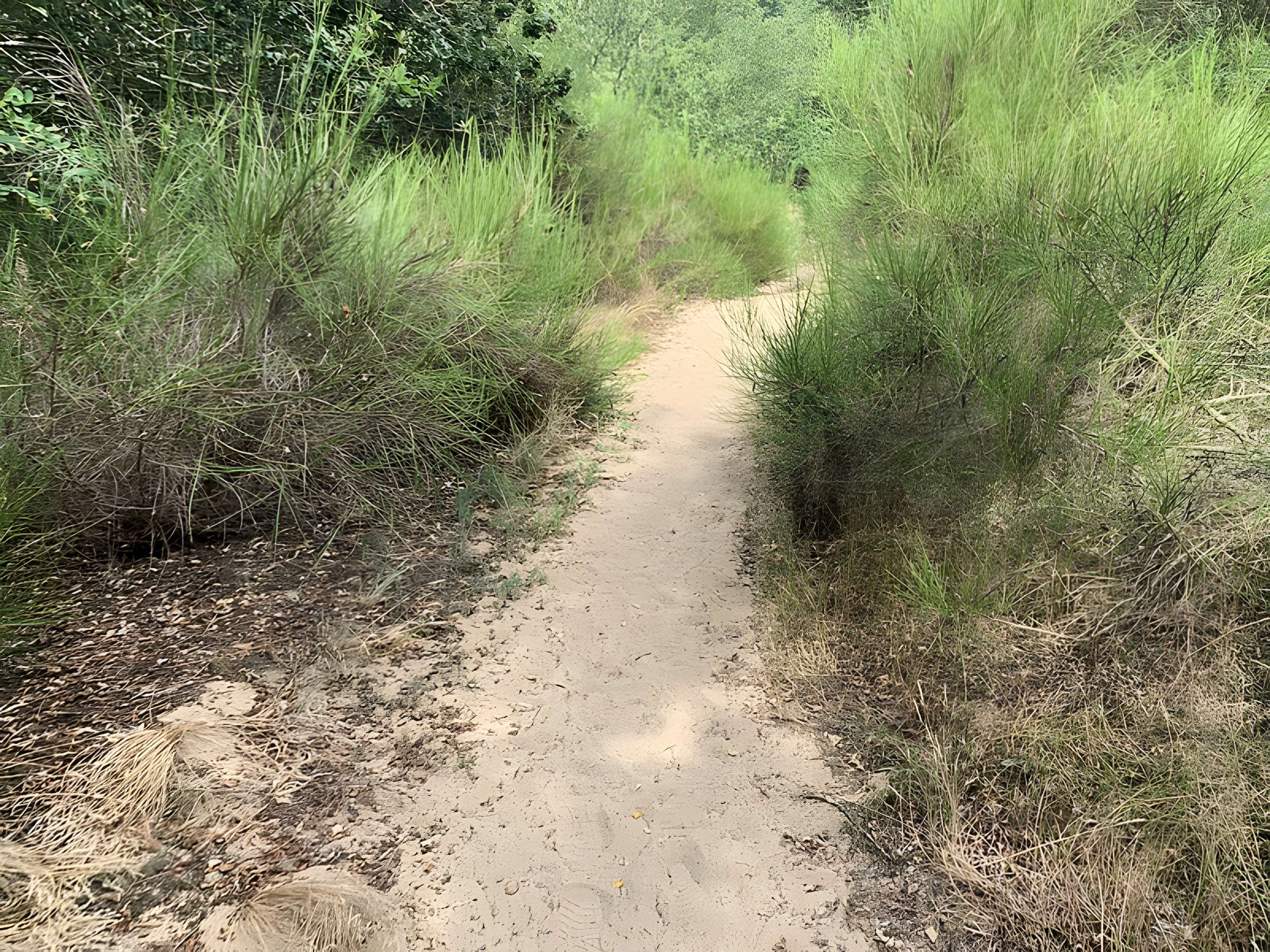 Gisement préhistorique de Sermoyer