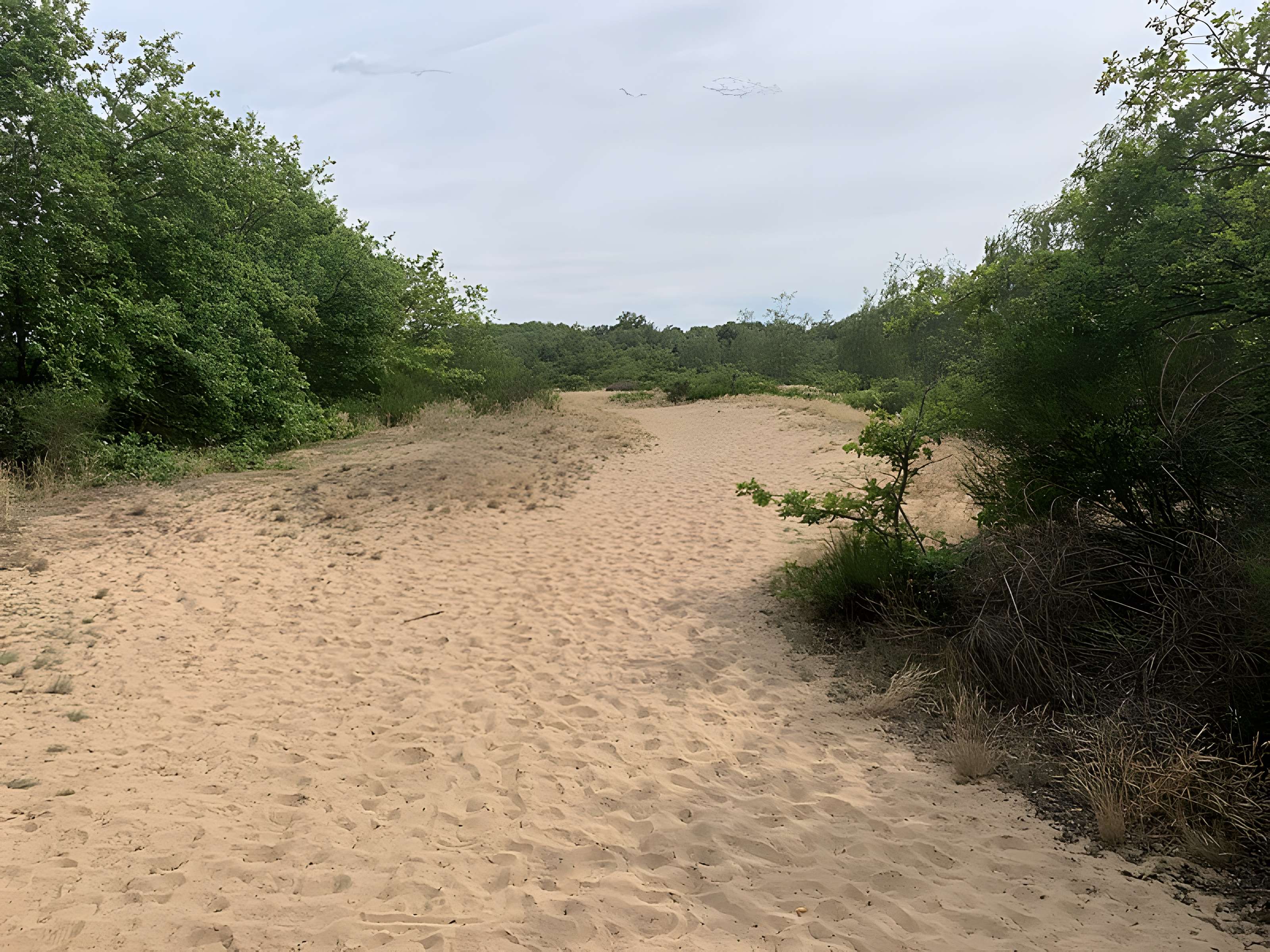 Gisement préhistorique de Sermoyer