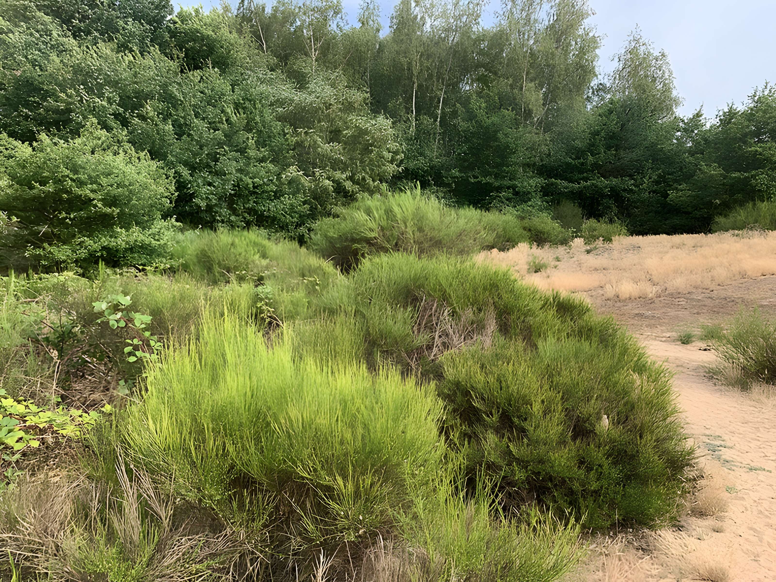Gisement préhistorique de Sermoyer