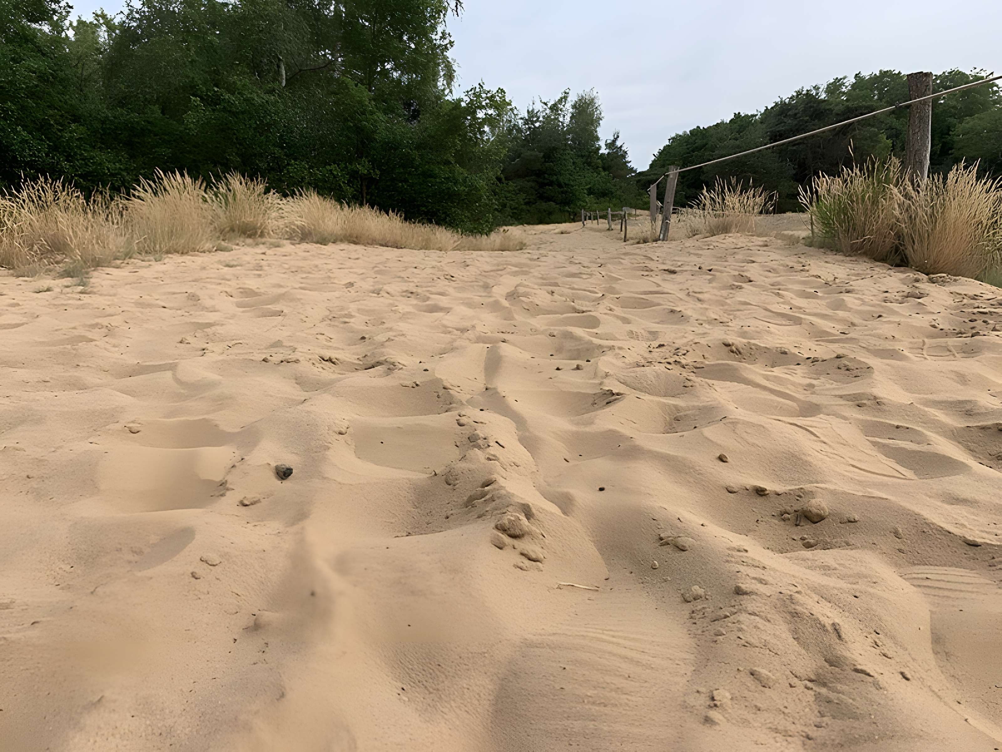 Gisement préhistorique de Sermoyer