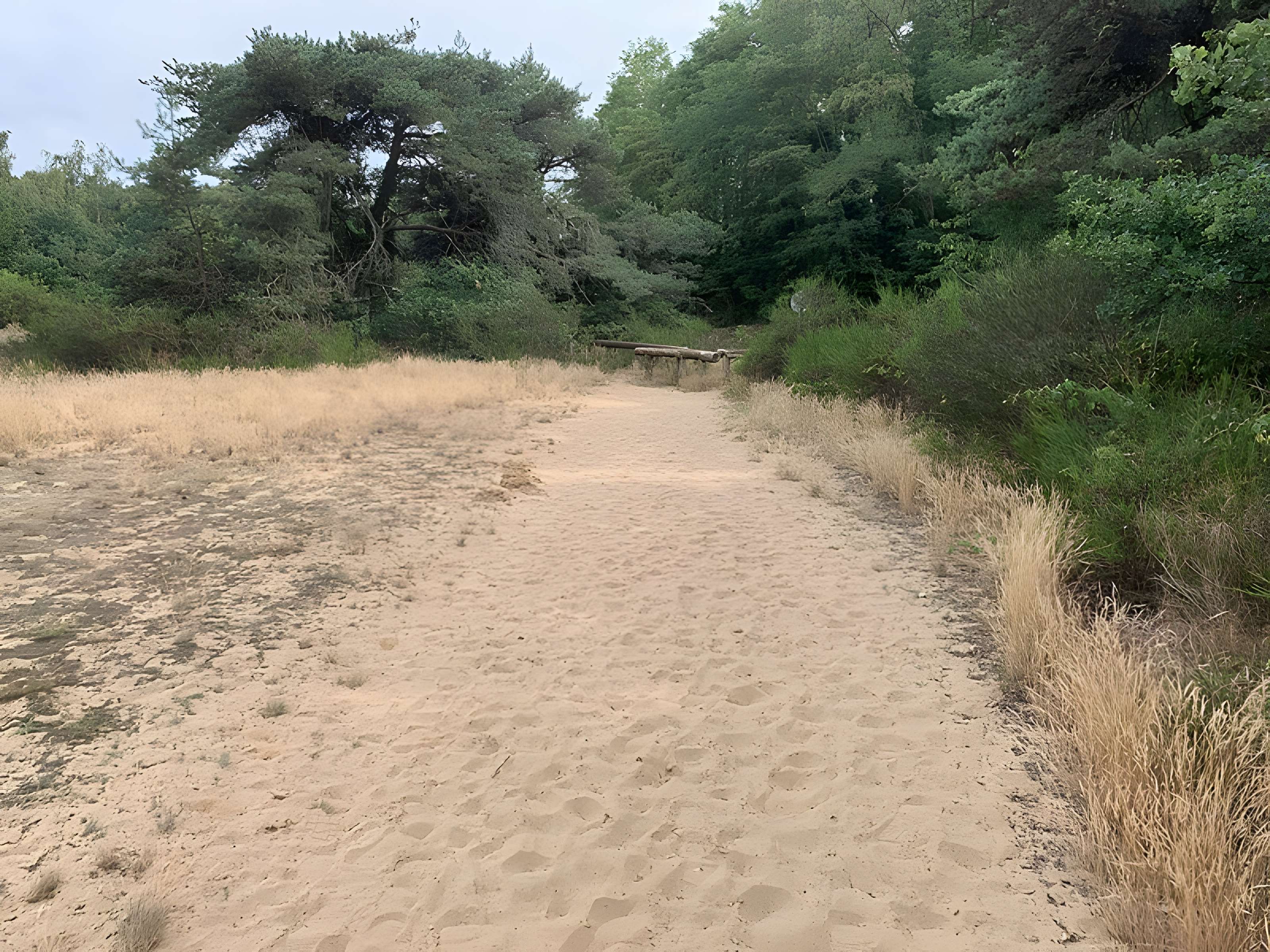 Gisement préhistorique de Sermoyer