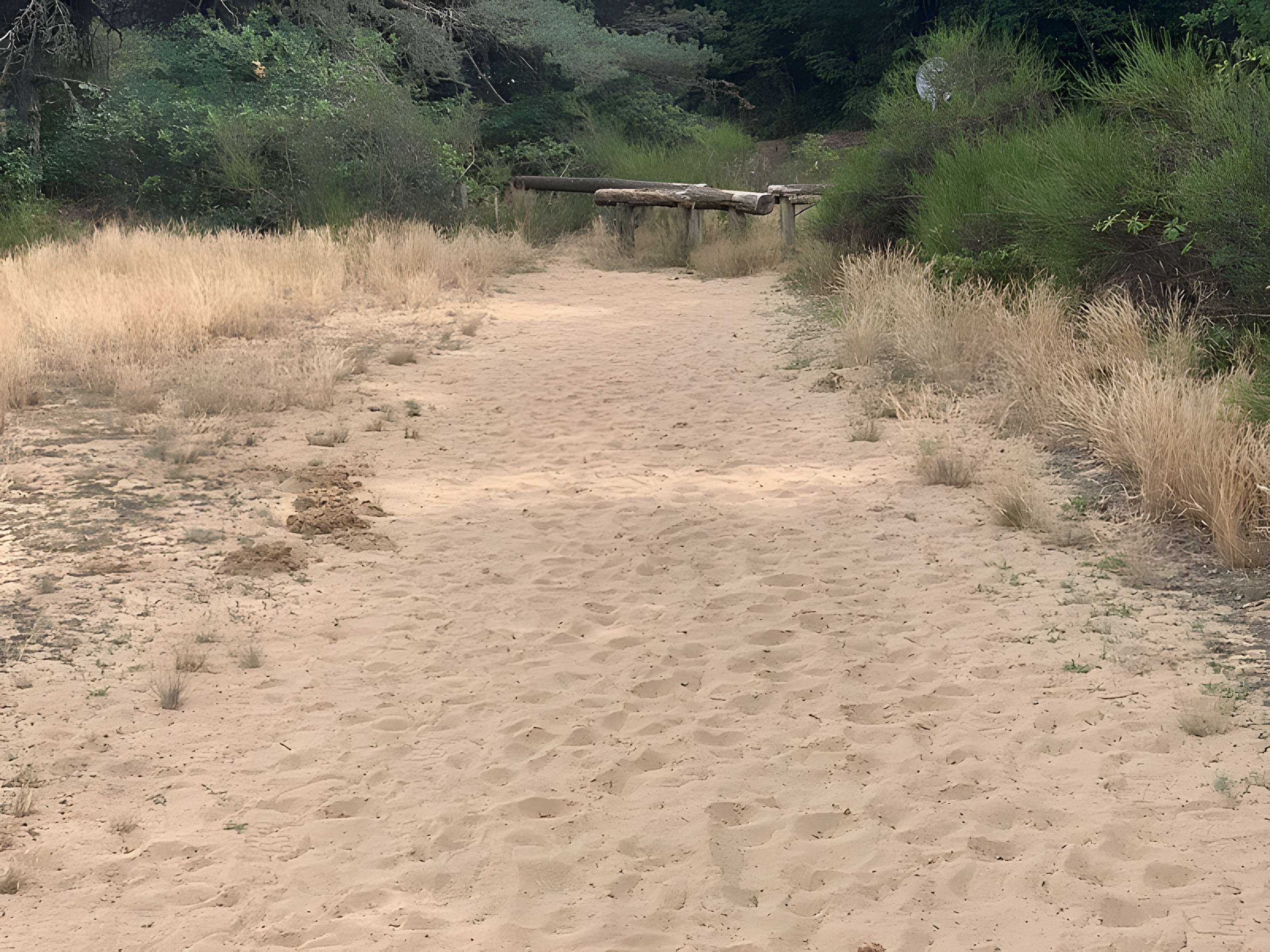 Gisement préhistorique de Sermoyer