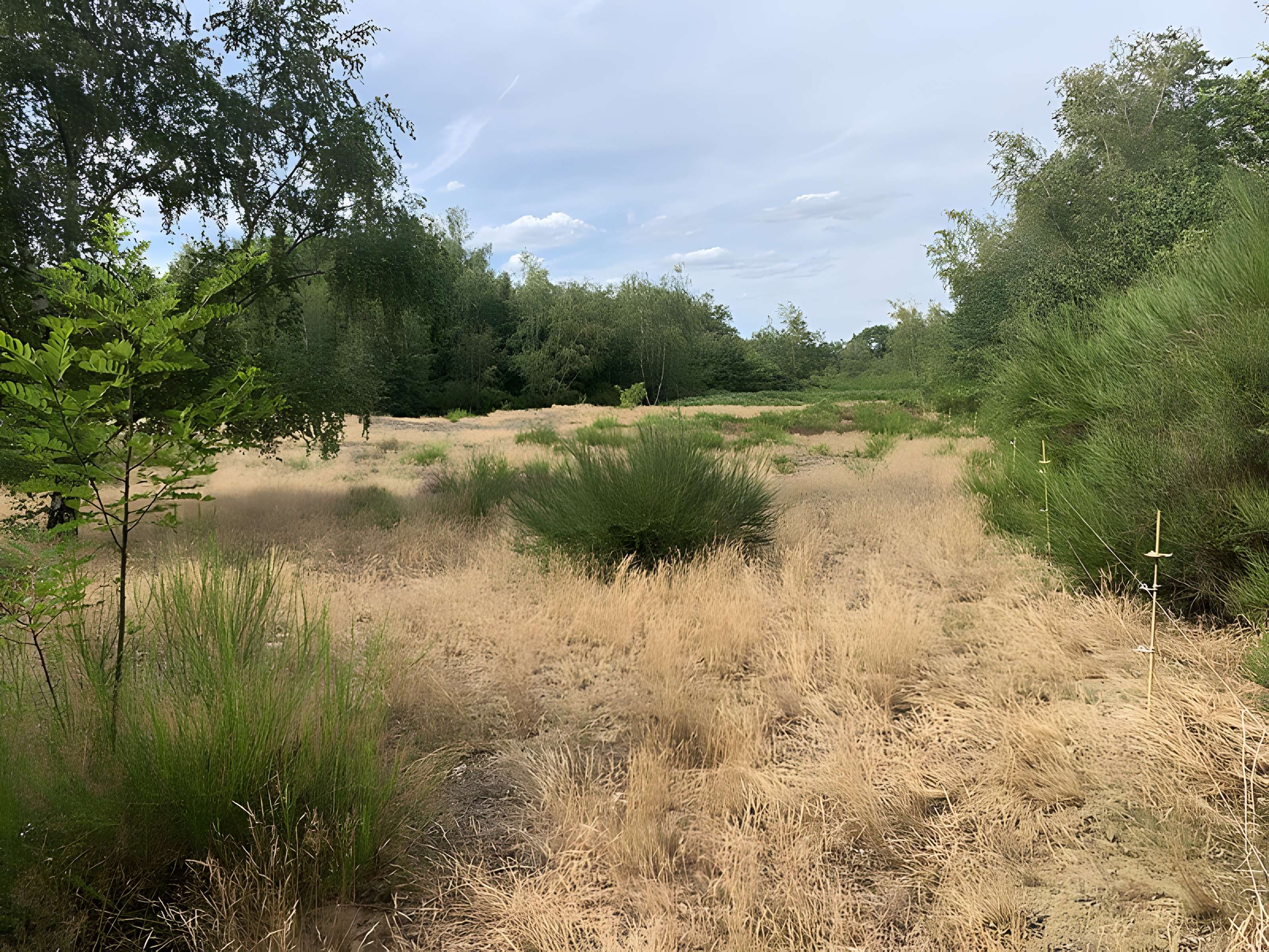 Gisement préhistorique de Sermoyer