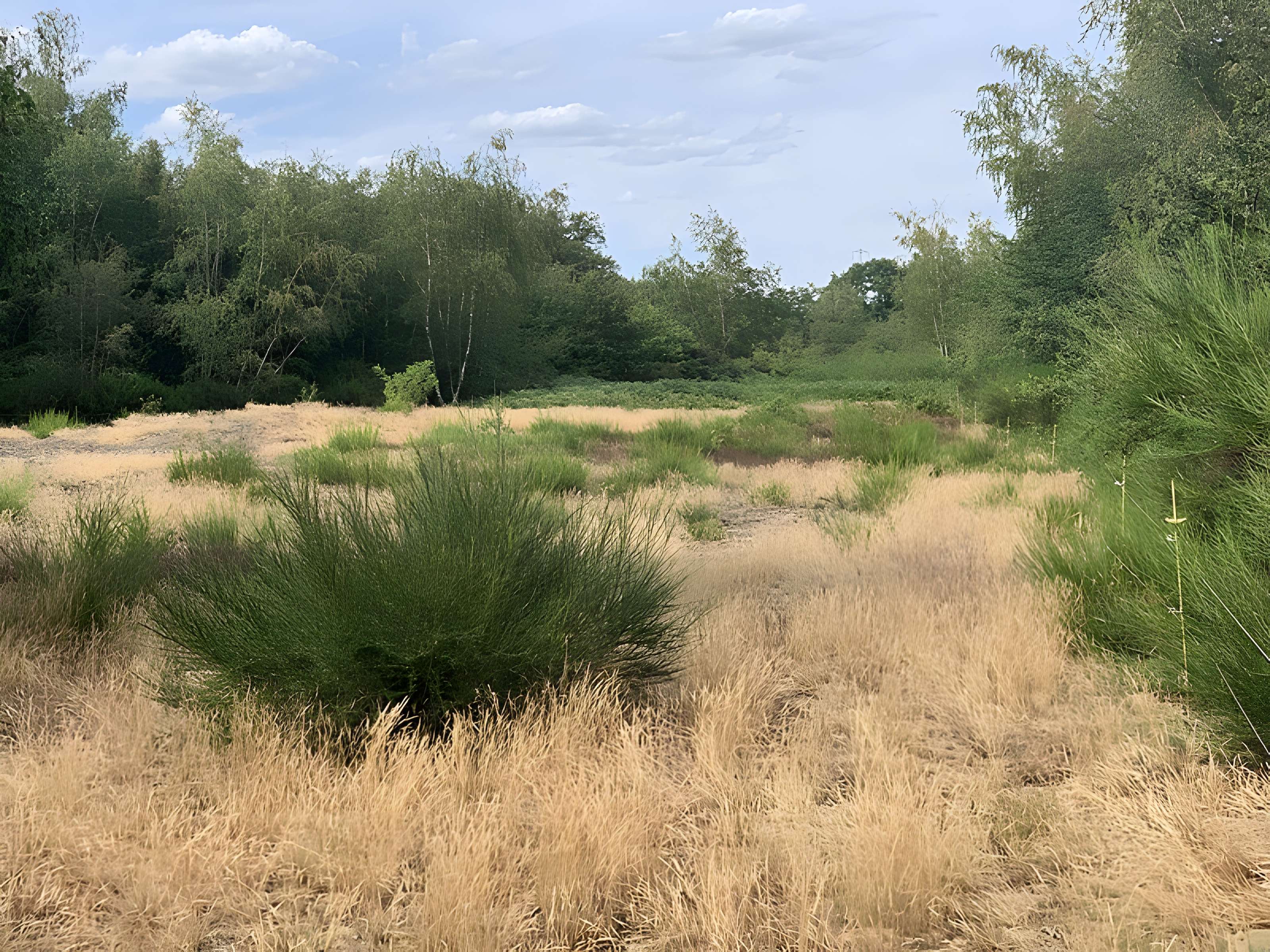 Gisement préhistorique de Sermoyer