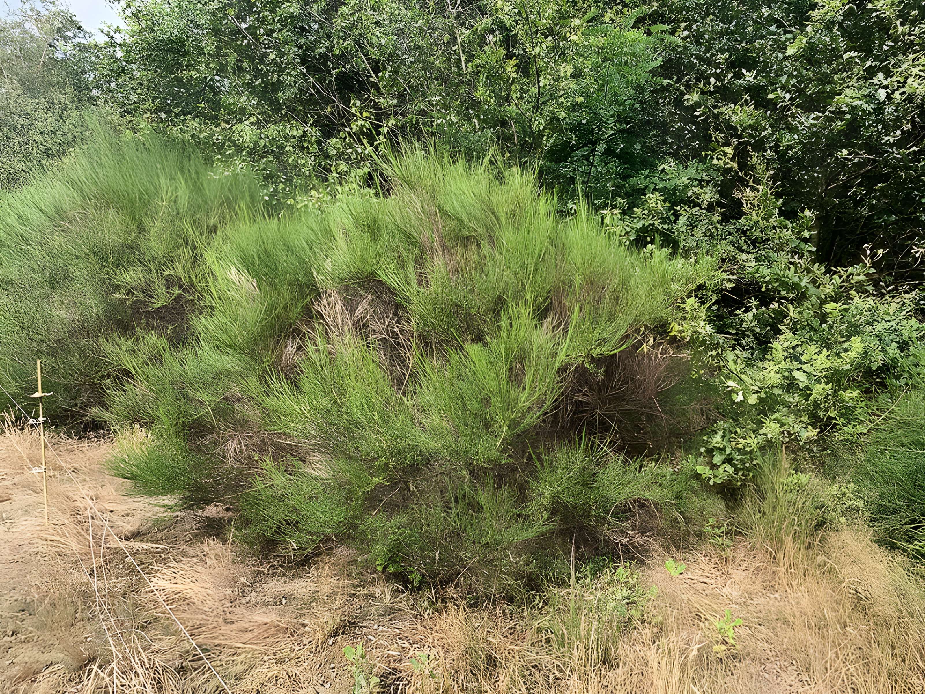 Gisement préhistorique de Sermoyer