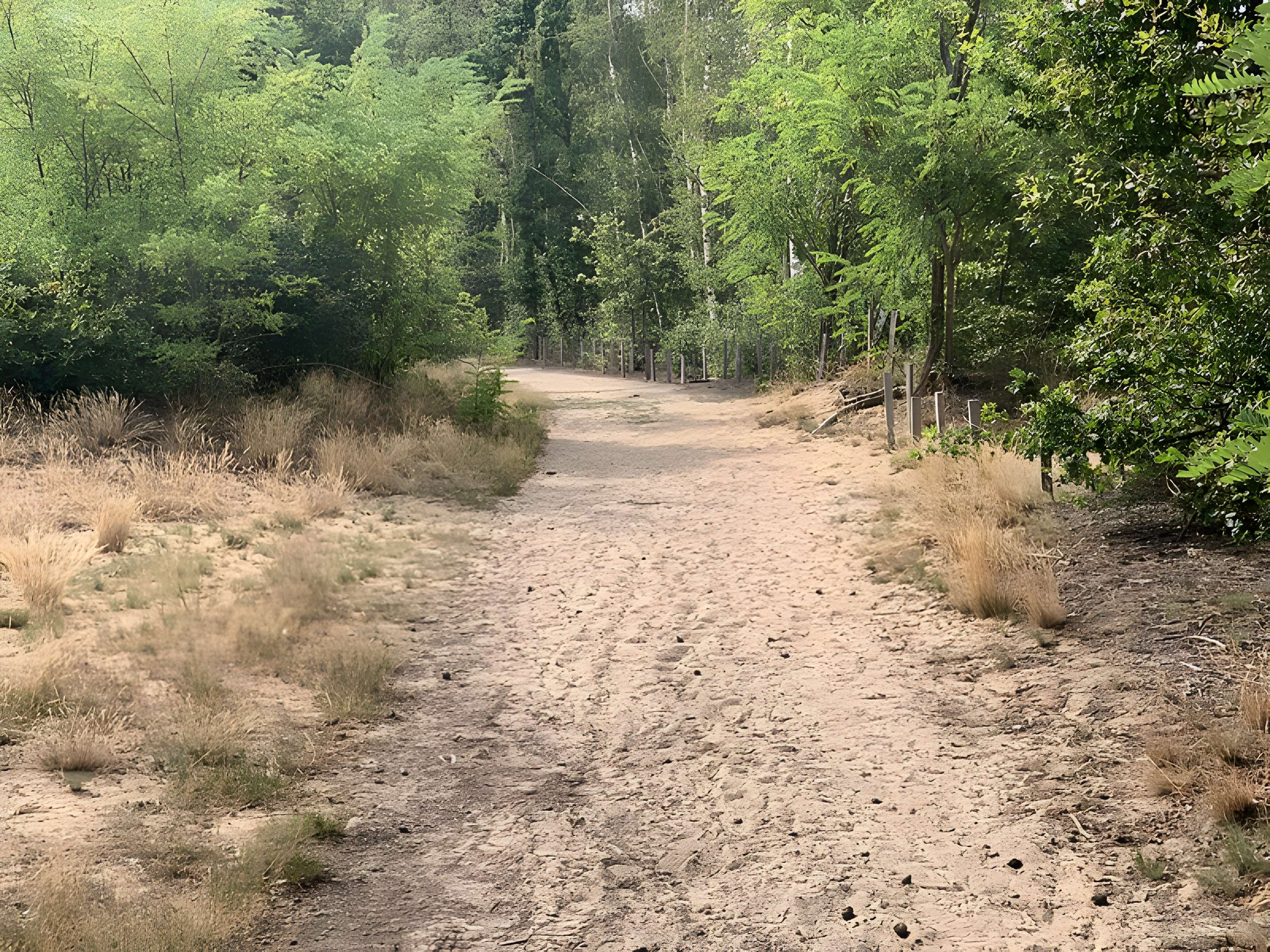 Gisement préhistorique de Sermoyer