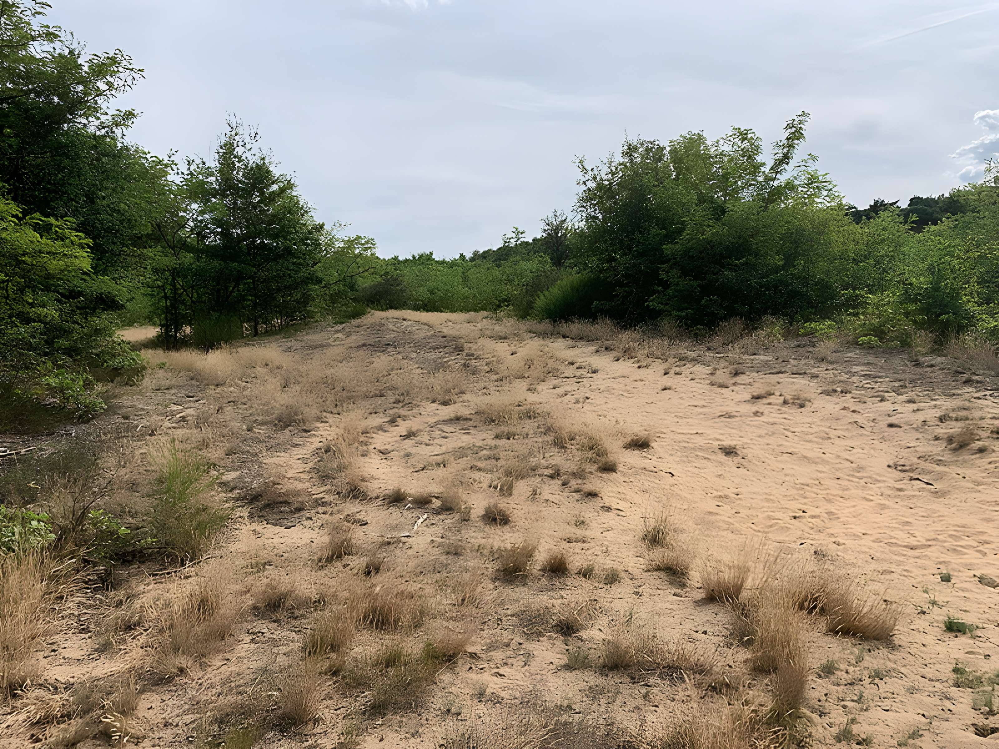 Gisement préhistorique de Sermoyer