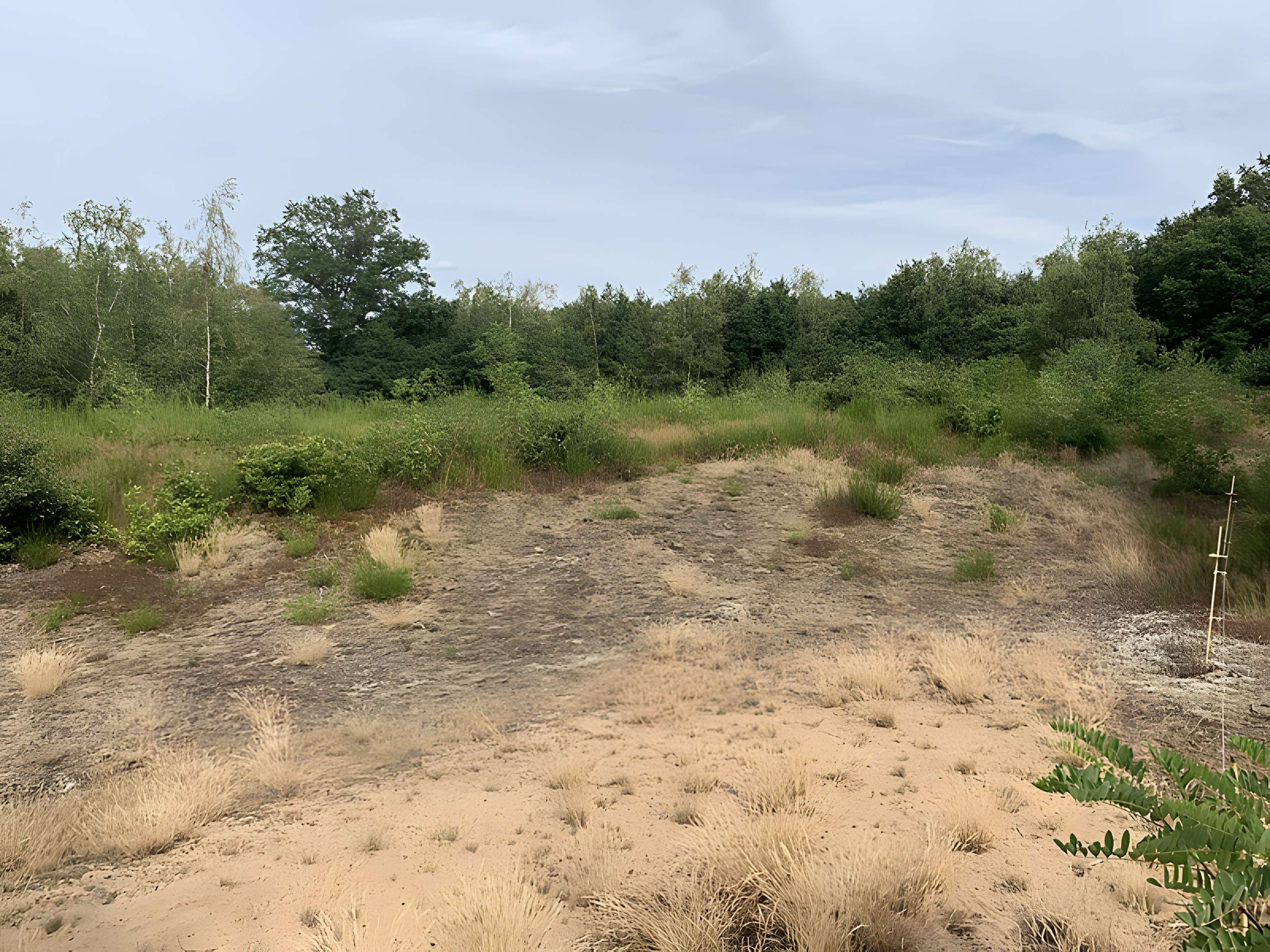 Gisement préhistorique de Sermoyer