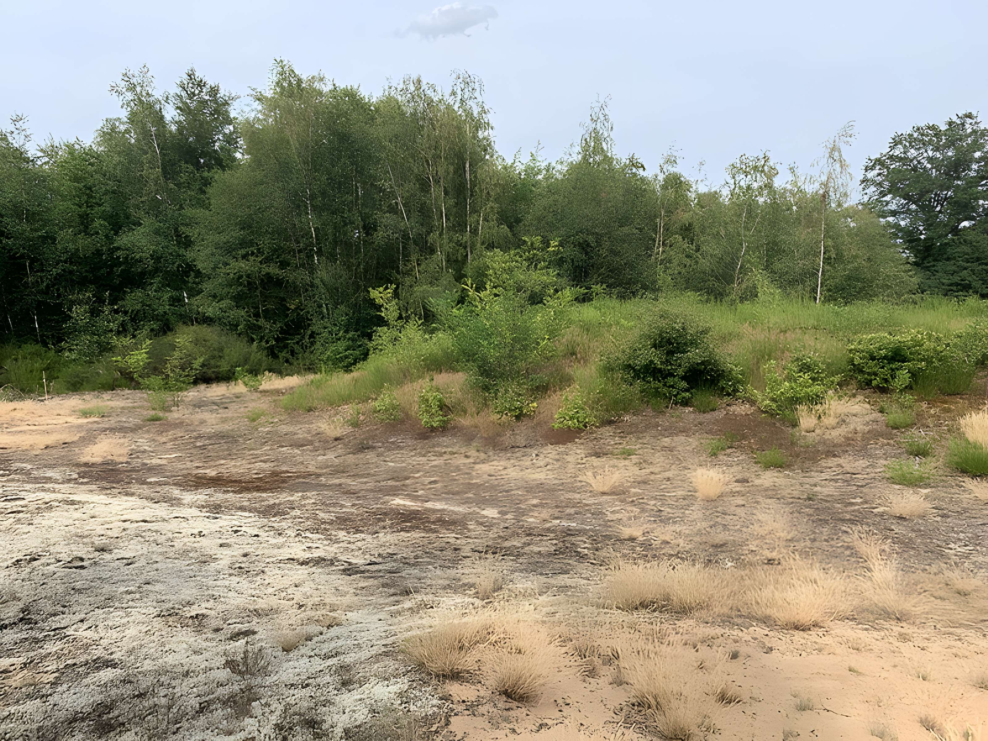 Gisement préhistorique de Sermoyer