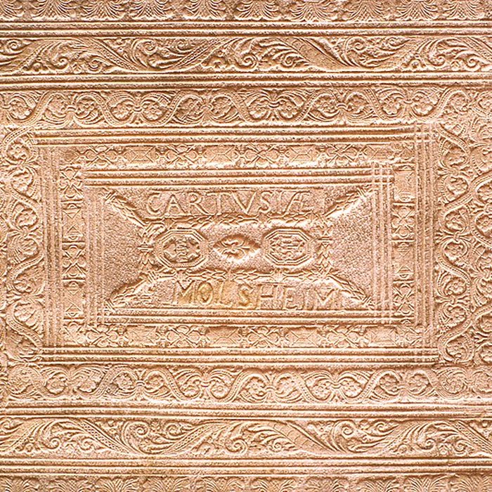 Photo de Grand Séminaire de Strasbourg