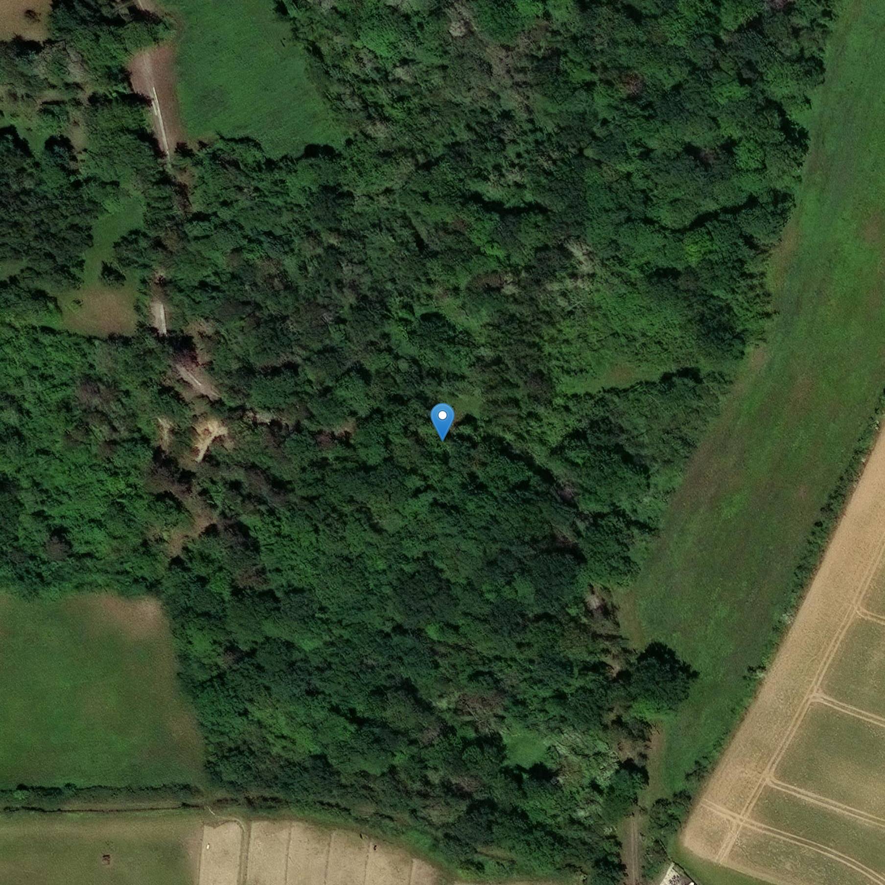 Photo de Château du Mont Cornon