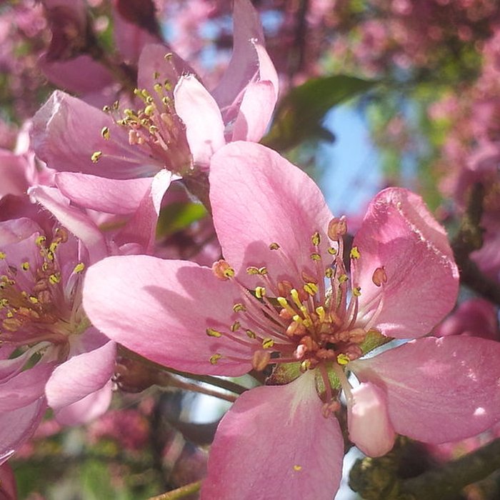 Photo de Château de Villersexel