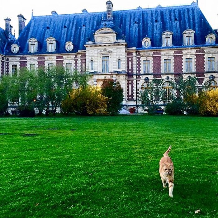 Photo de Château de Villersexel
