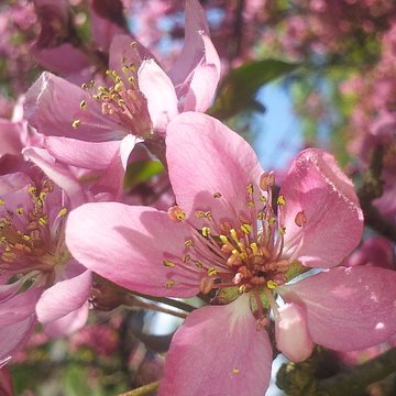 Château de Villersexel