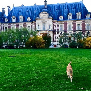 Château de Villersexel