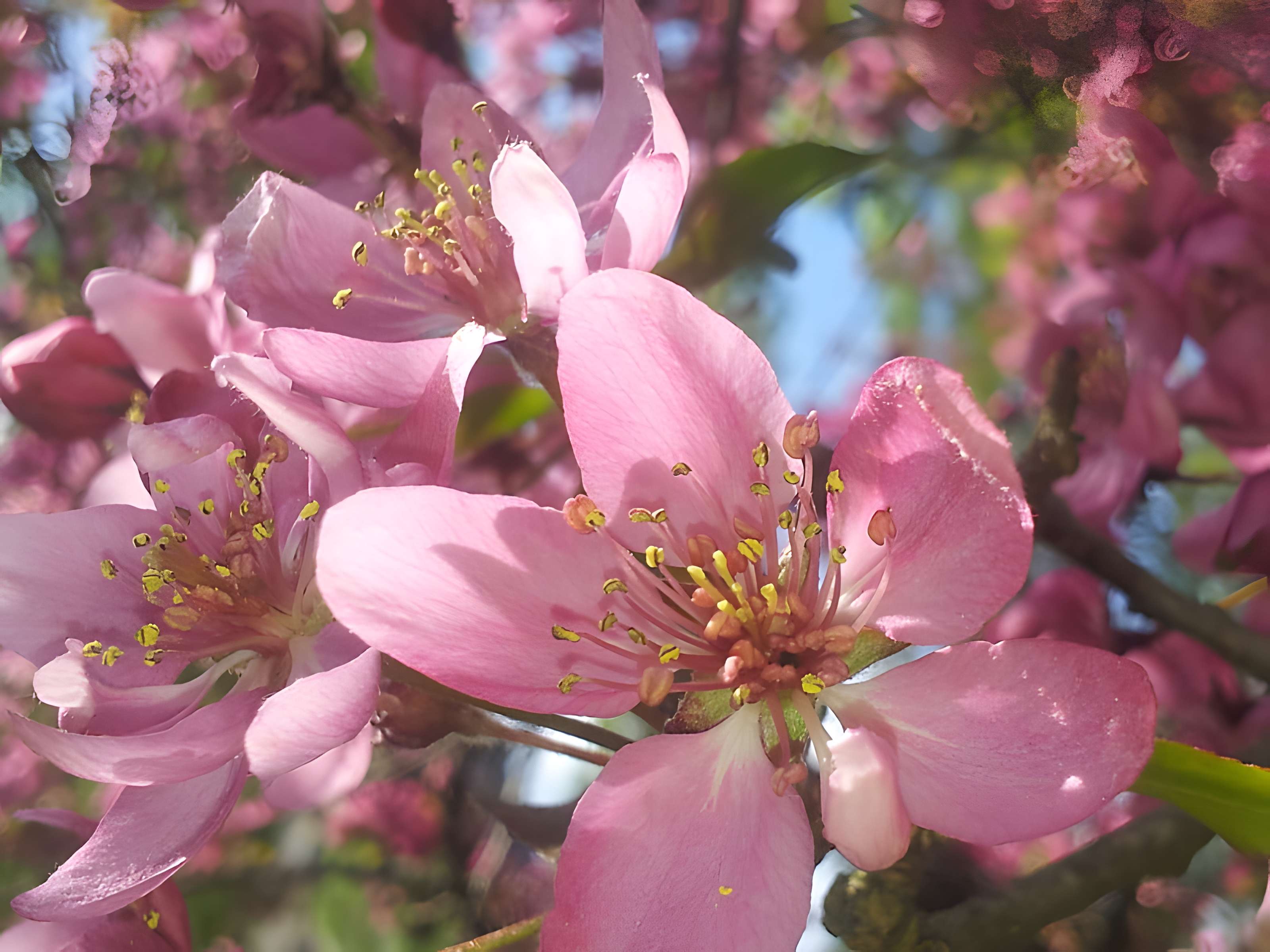 Château de Villersexel