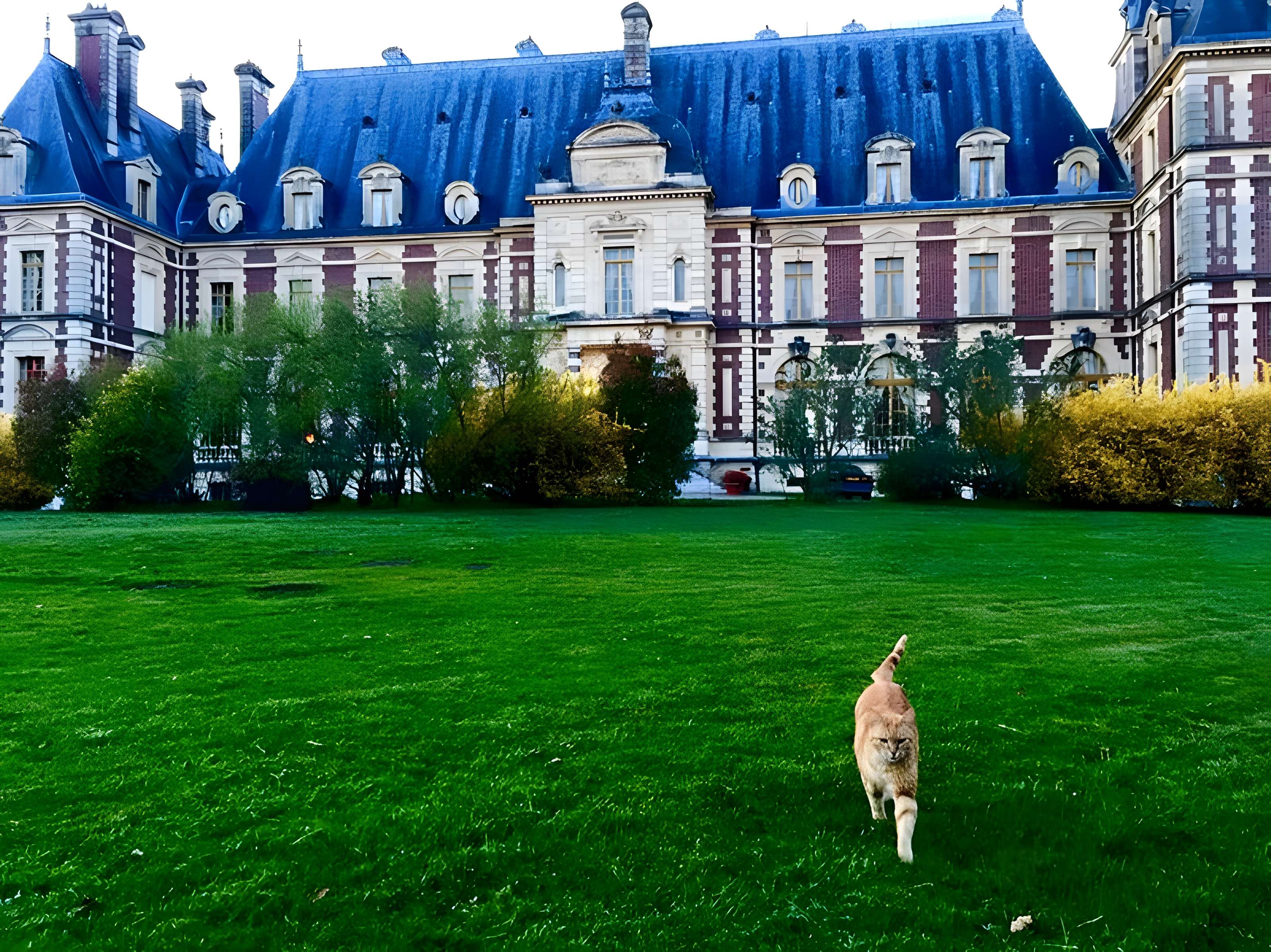Château de Villersexel