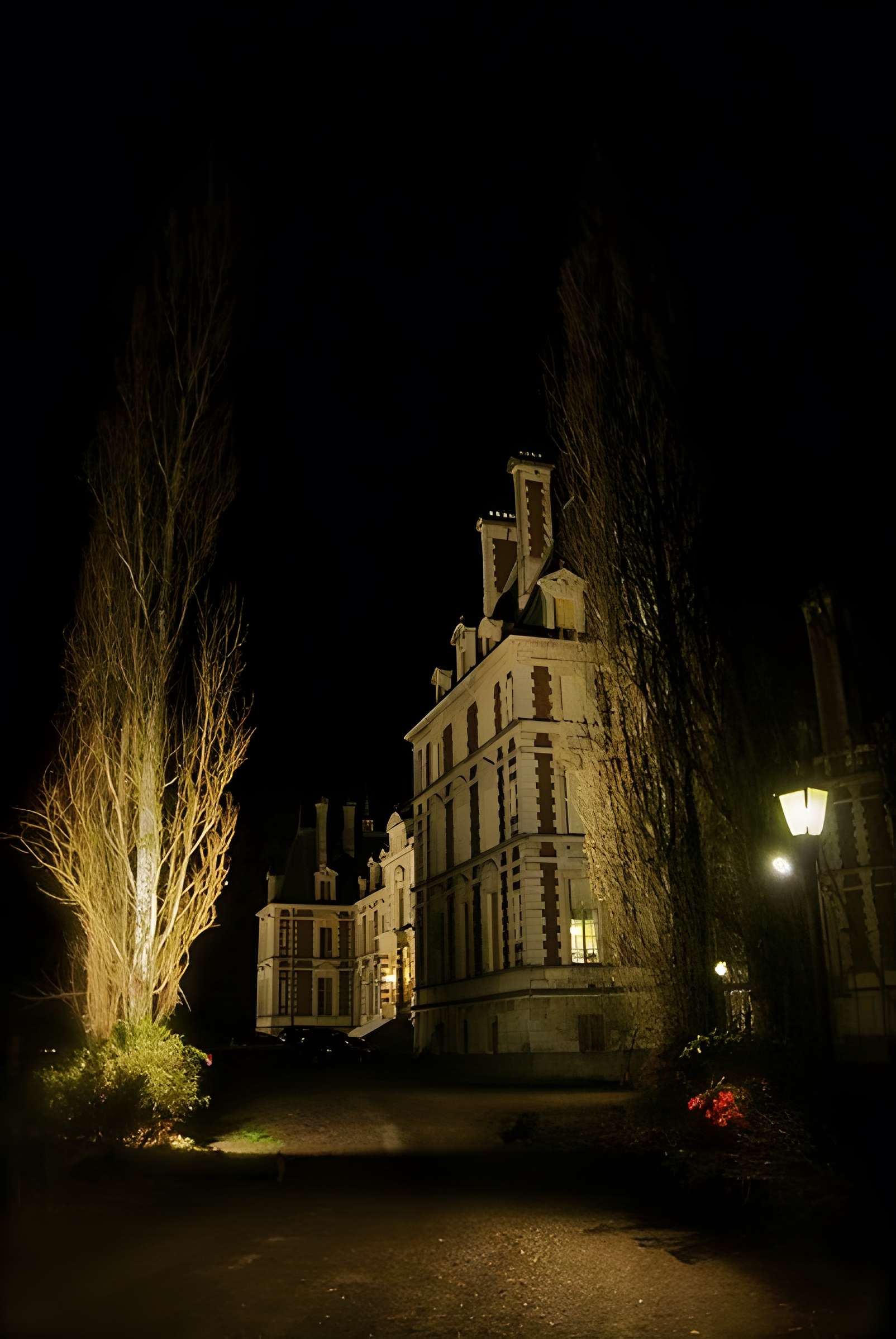 Château de Villersexel