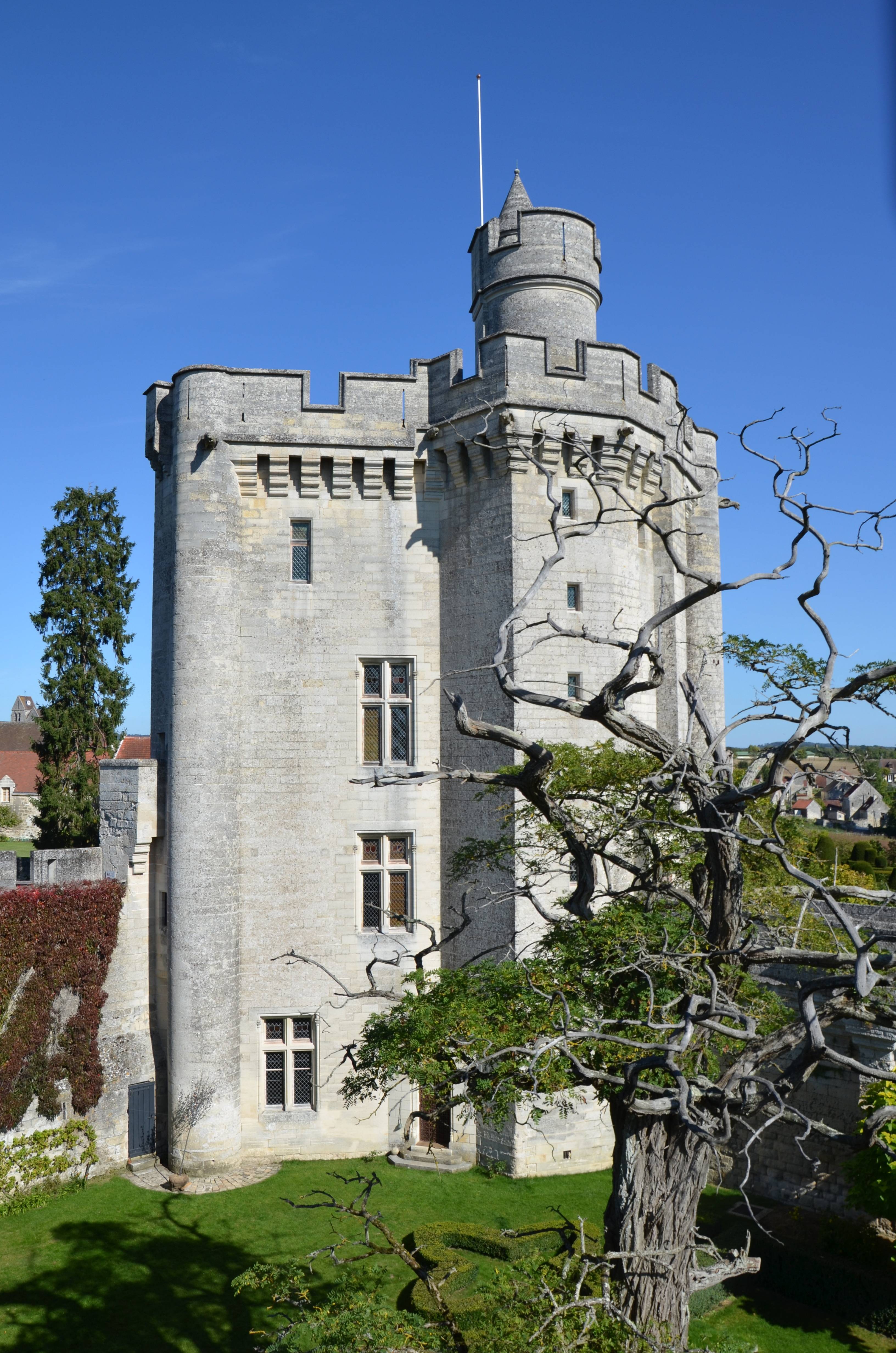 Photo de Donjon de Vez