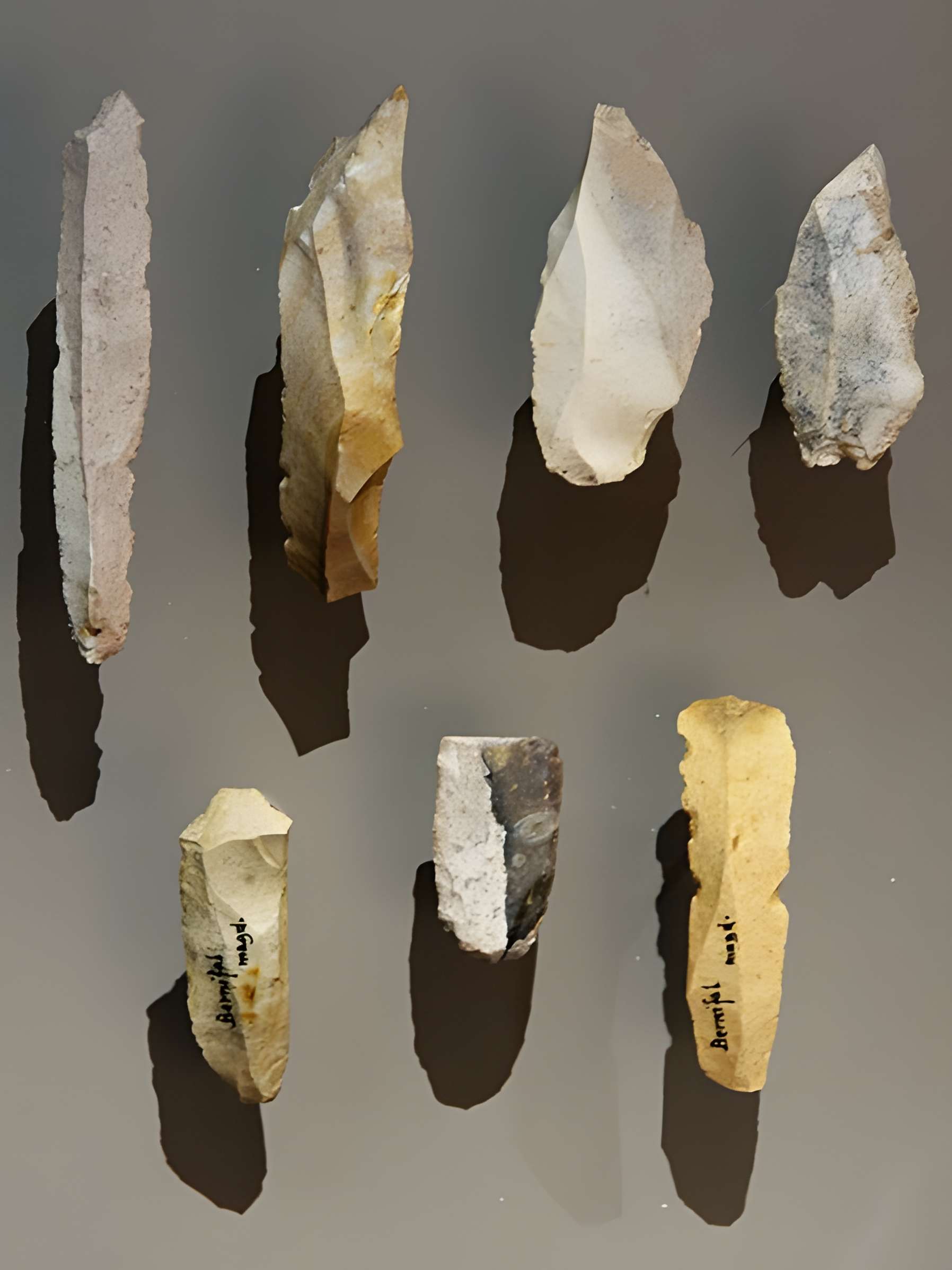 Grotte de Bernifal à Meyrals