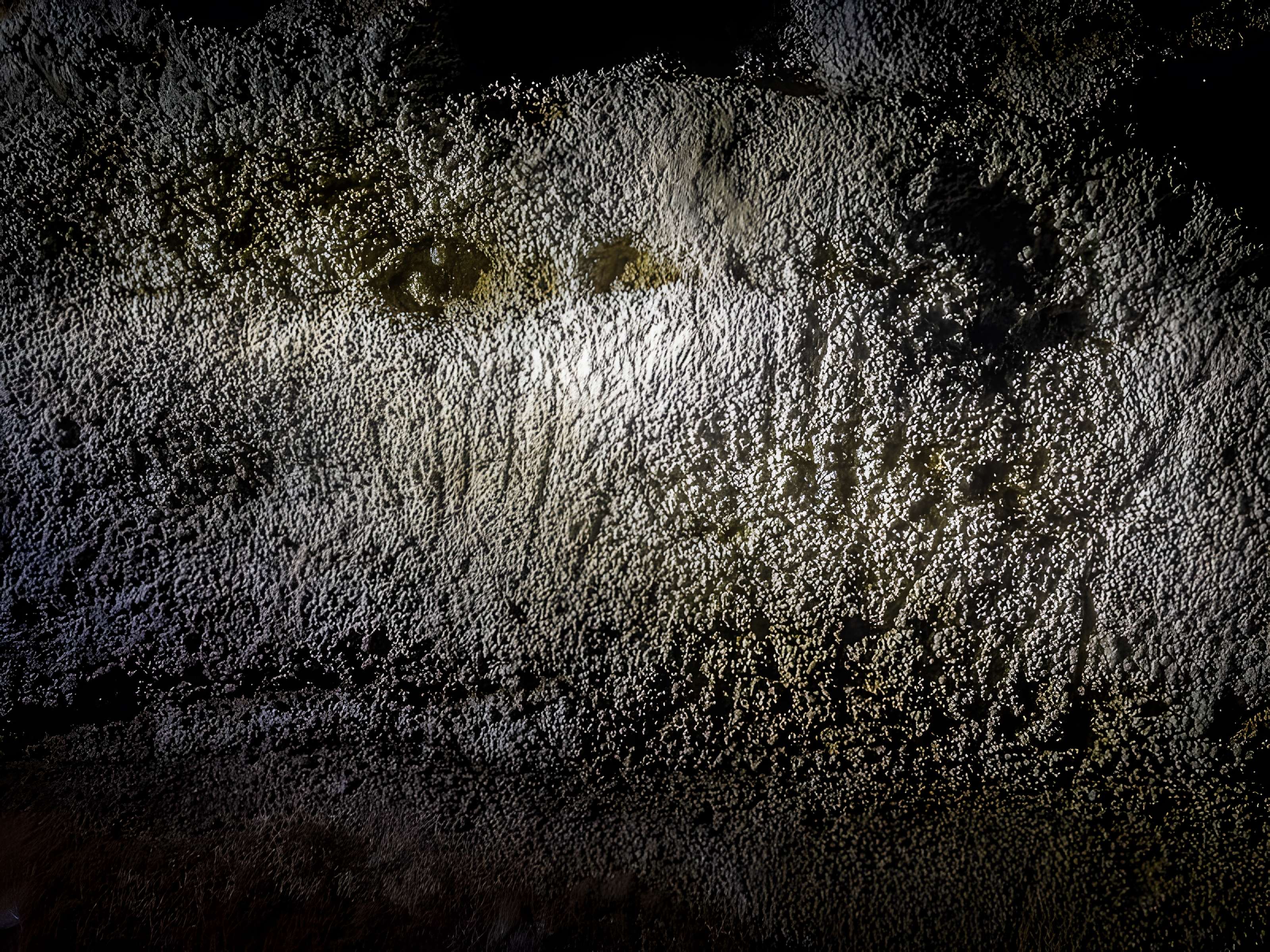 Grotte de Bernifal à Meyrals