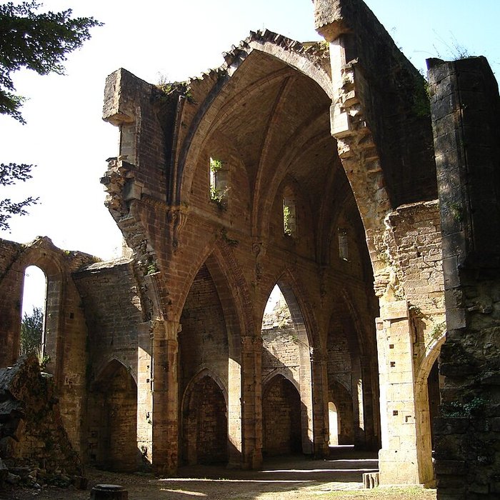 Photo de Abbaye de Trois-Fontaines