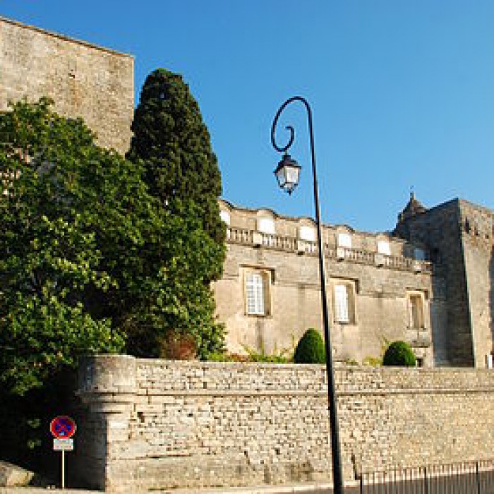 Photo de Château de Villevieille
