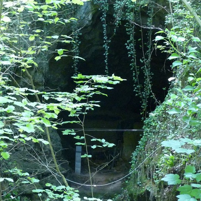 Photo de Grotte de Fontéchevade à Montbron