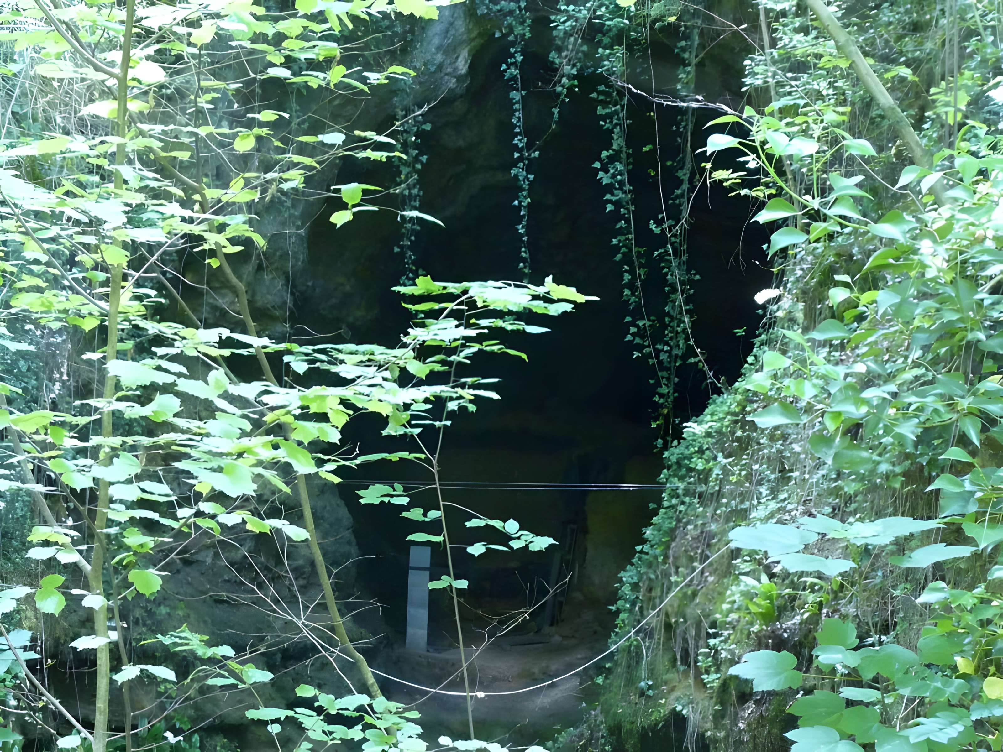 Grotte de Fontéchevade à Montbron 