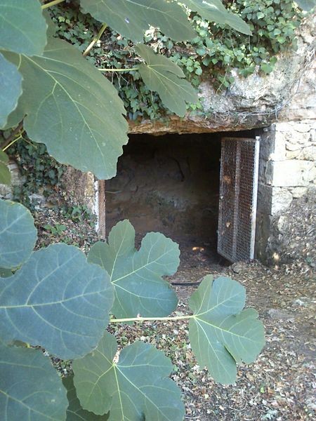 Photo de Grotte de La Marche de Lussac-les-Châteaux