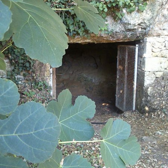 Photo de Grotte de La Marche de Lussac-les-Châteaux